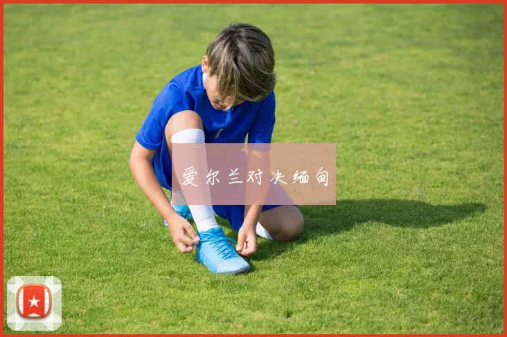 爱尔兰对决缅甸