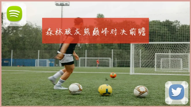 森林狼灰熊巅峰对决前瞻