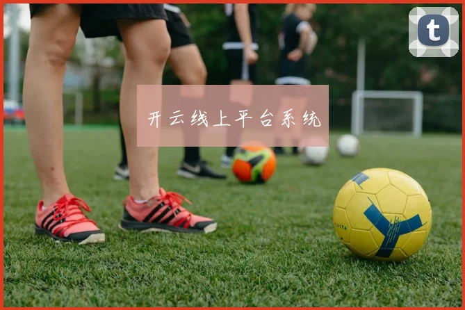 开云线上平台系统