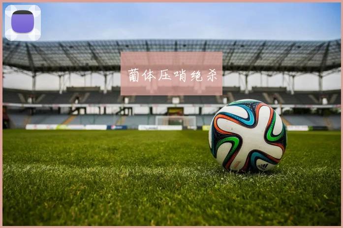 葡体压哨绝杀
