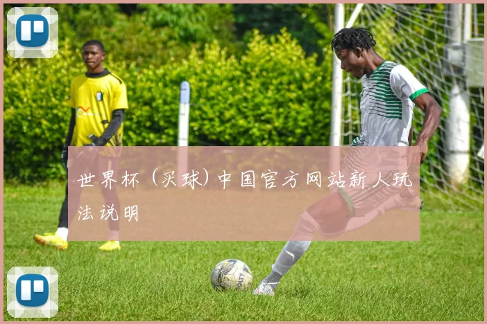 世界杯 (买球)中国官方网站新人玩法说明