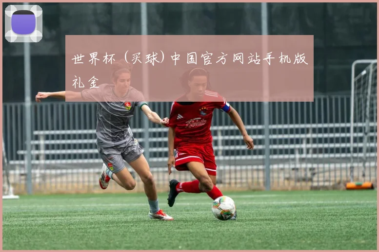世界杯 (买球)中国官方网站手机版礼金