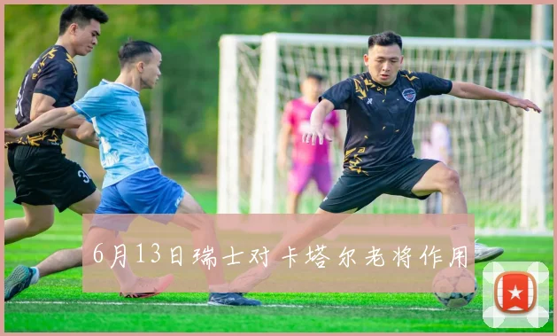 6月13日瑞士对卡塔尔老将作用